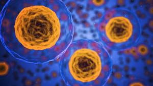 Radnet seminar series Promotional image: cell with yellow nuclei on a blue background. Some cells are small in the background and some are up close in the foreground.