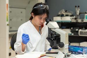 STAR using microscope_KCL