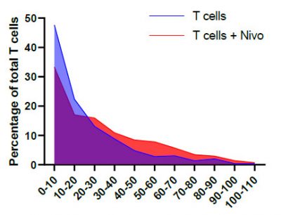 Line graph showing the percentage of total T cells with and without Nivolumab treatment
